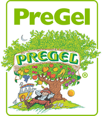 Pregel - 
 Pastry Filling - Forest Berries  (2 x 2.8kg Case)-1