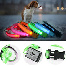 LED Dog Collar - Puritific