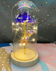 Galaxy Rose Eternal Lamp - Puritific