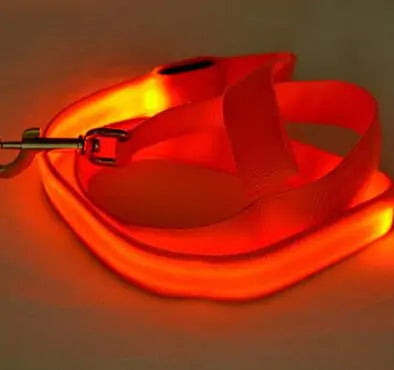 Glow In Dark Dog Leash - Puritific