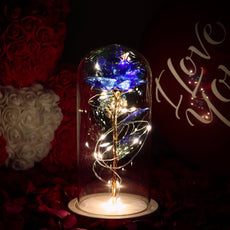 Galaxy Rose Eternal Lamp - Puritific