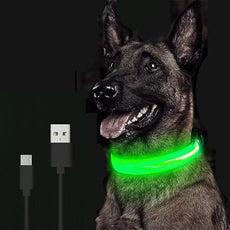 LED Dog Collar - Puritific