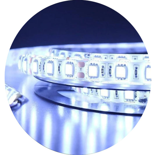 Cool White High quality Splash Proof LED Strip light 5050~2409-0