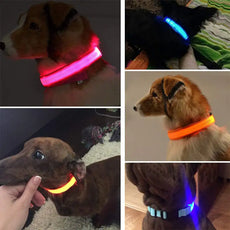 LED Dog Collar - Puritific