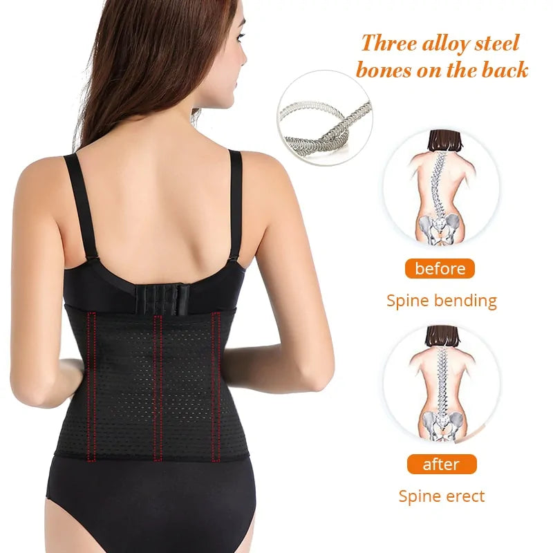 Waist Trainer Shapers - Puritific