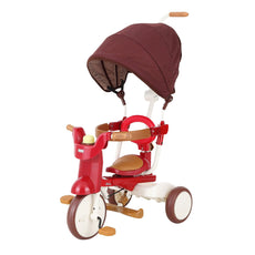 iimo 3-in-1 Foldable Tricycle with Canopy - Puritific