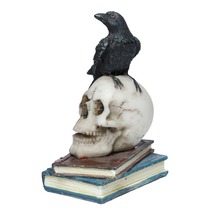 Crow Standing on Skull and Books Ornament SK350-0