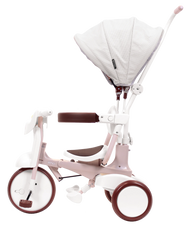 iimo 3-in-1 Foldable Tricycle with Canopy - Puritific