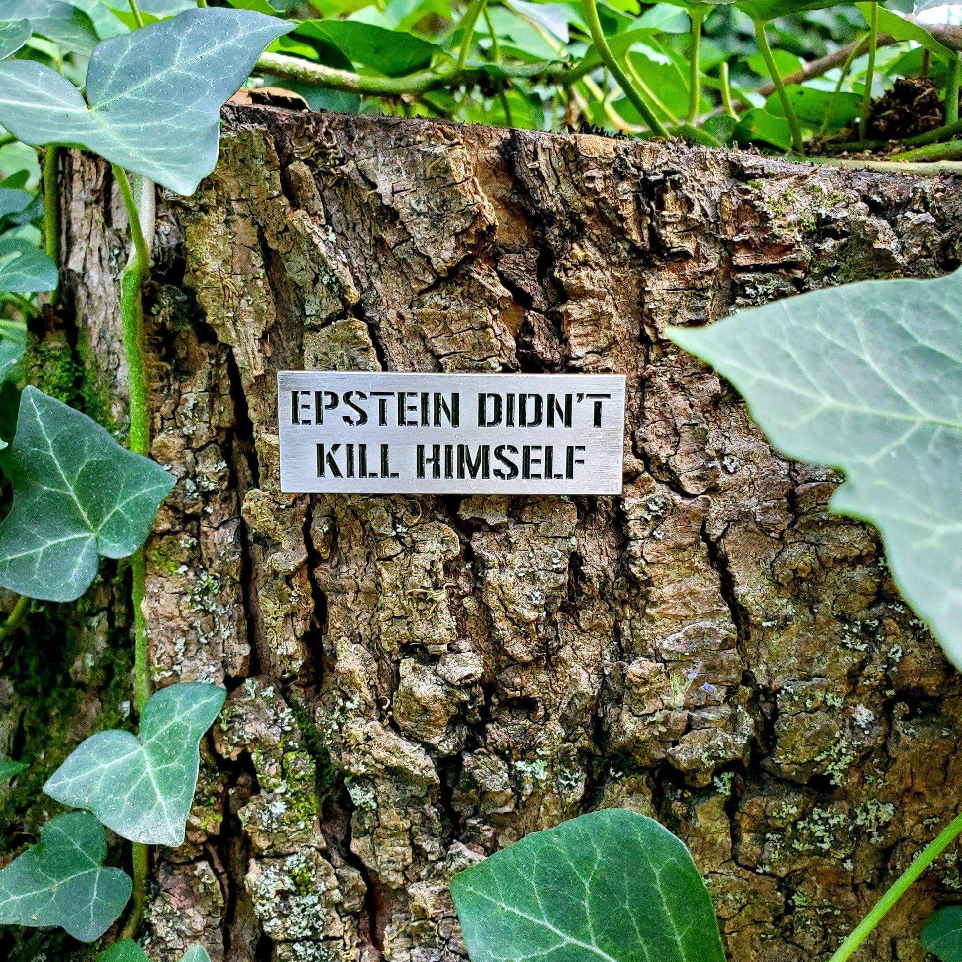 "Epstein Didn't Kill Himself" Pin - Puritific