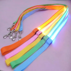 Glow In Dark Dog Leash - Puritific