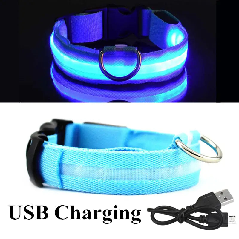 LED Dog Collar - Puritific