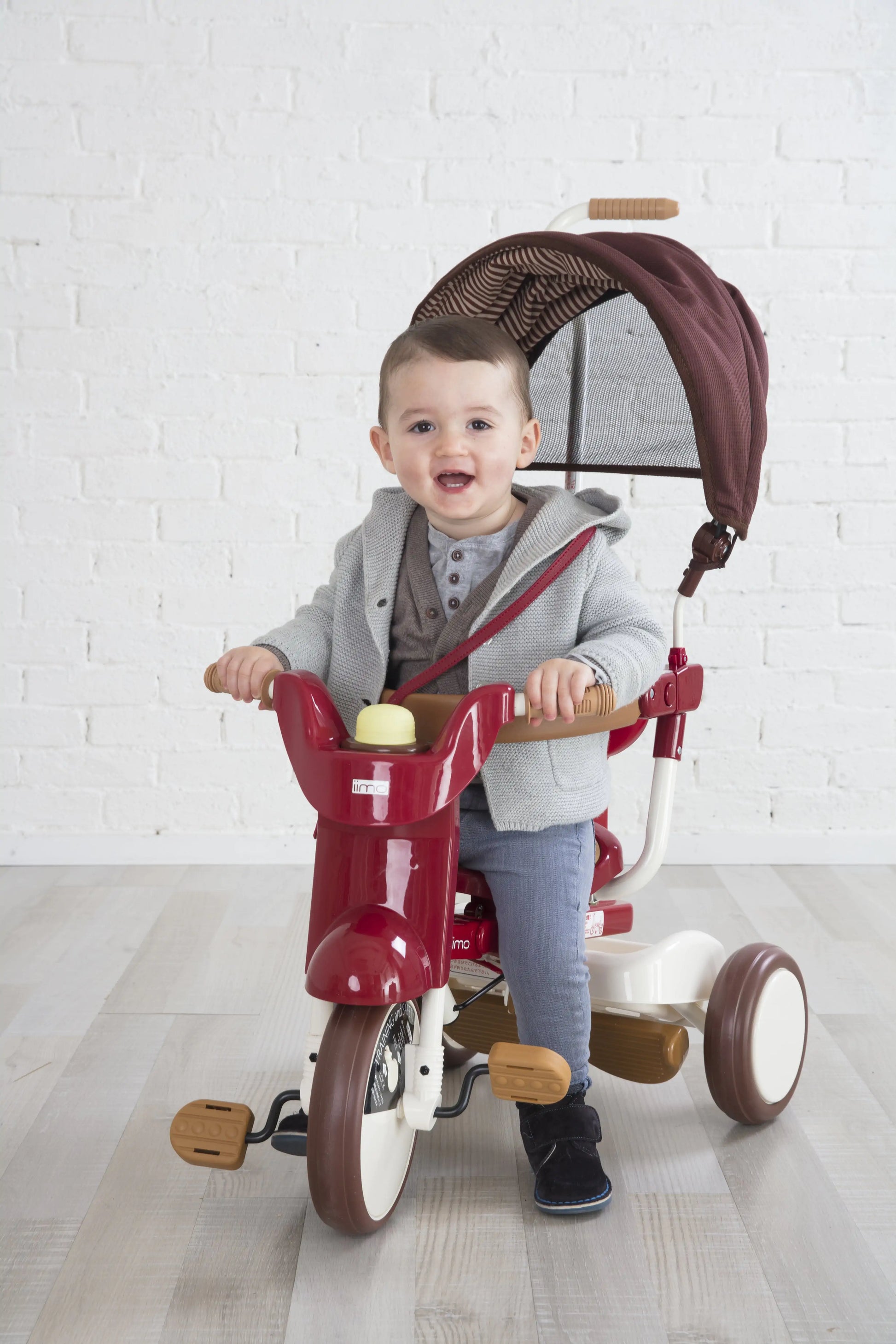 iimo 3-in-1 Foldable Tricycle with Canopy - Puritific