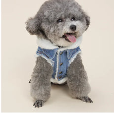 Justin - Denim Dog Jacket - Puritific