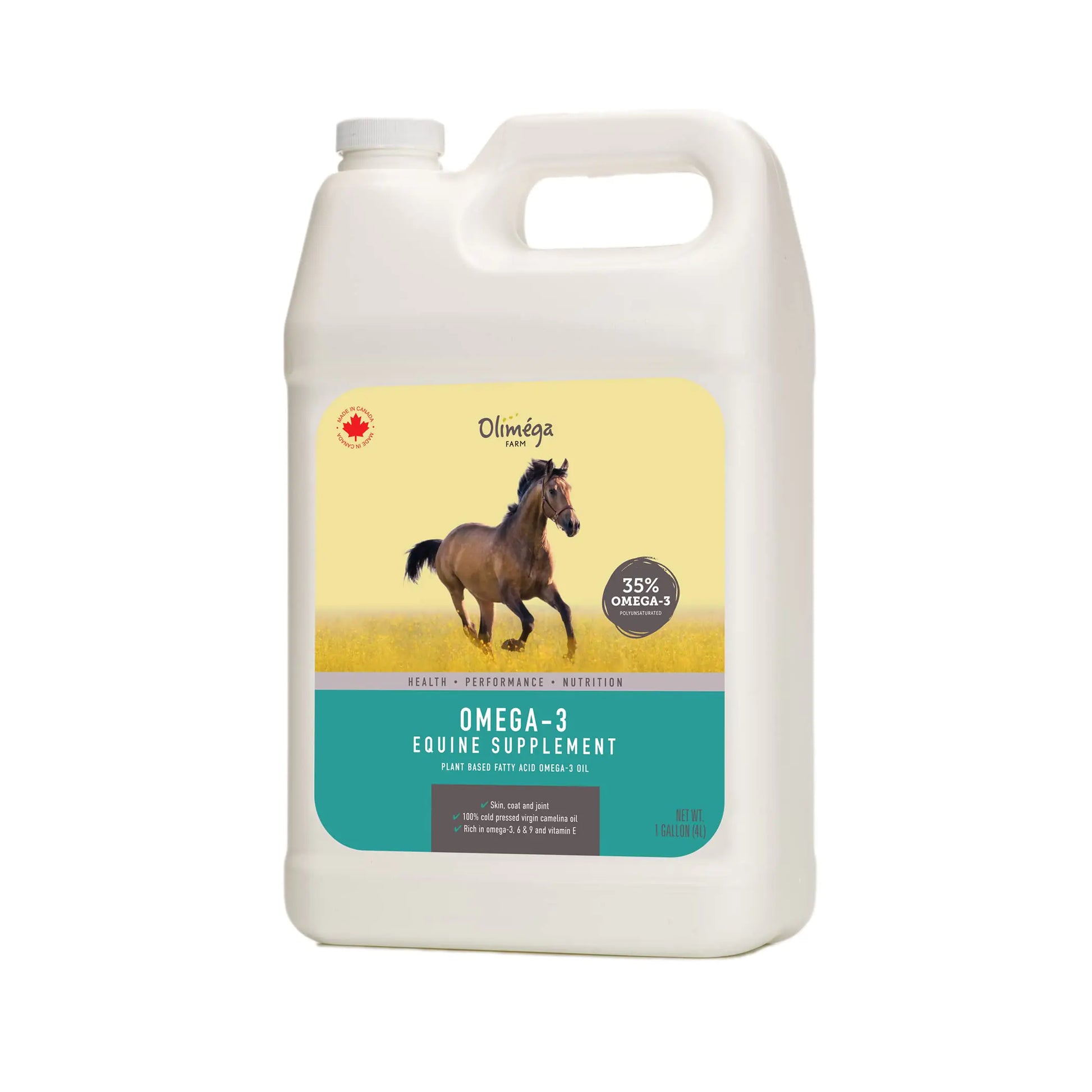 Camelina Oil for Horses 1 Gallon by Olimega Farm | High in Omega-3 & Vitamin E | Support for Healthy Joints Coat & Skin | Pure & Cold Pressed | Joint Supplement | Made in Canada | Non-GMO