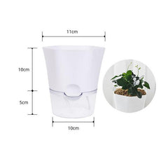 Automatic Water-Absorbing Flowerpot - Puritific