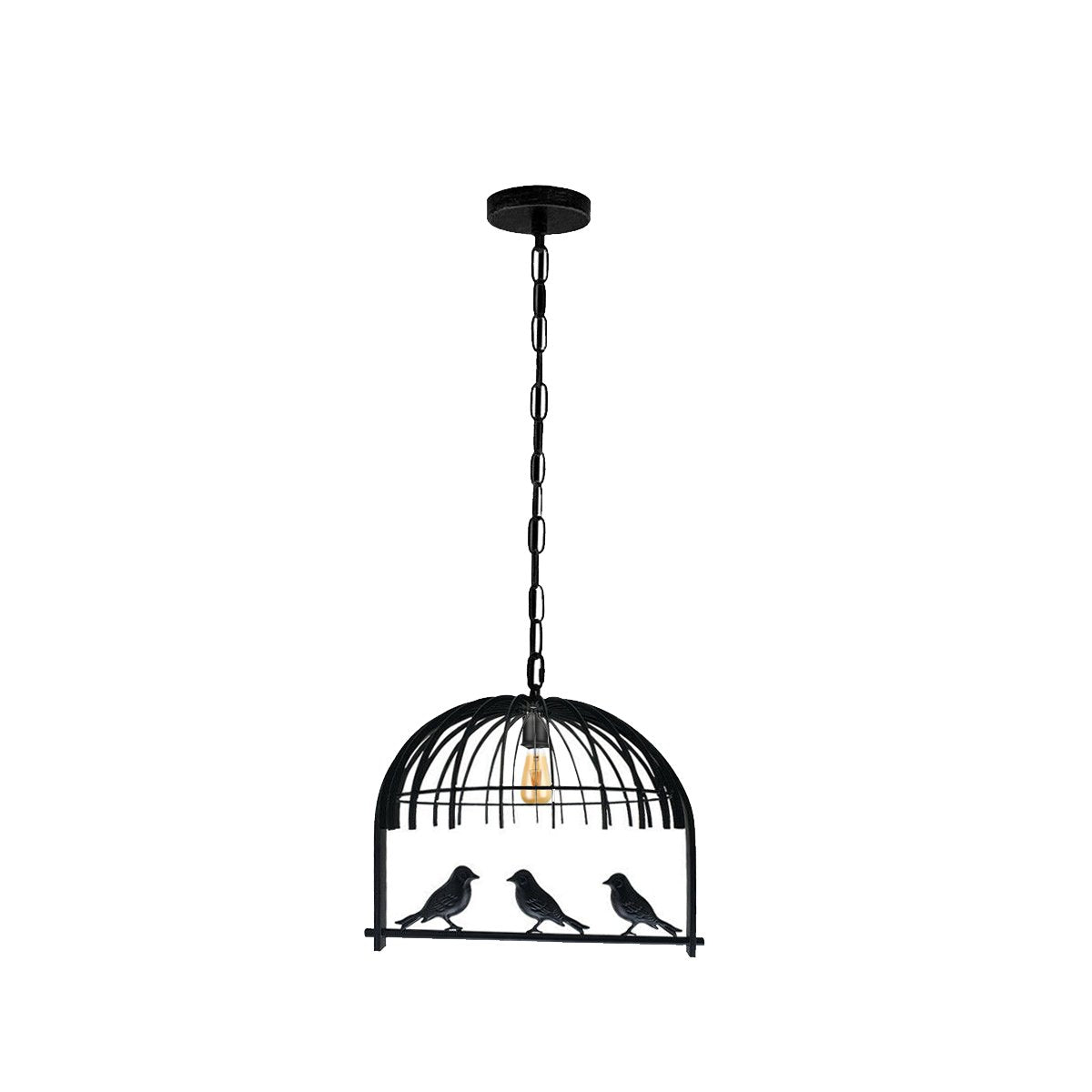 Bird Cage Ceiling Industrial Chandelier Loft Pendant Light With FREE Bulb~2256-5