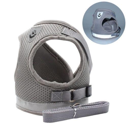 CozyCat Pet Harness and Leash - Puritific