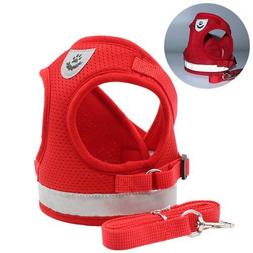 CozyCat Pet Harness and Leash - Puritific