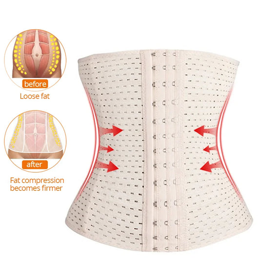 Waist Trainer Shapers - Puritific