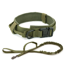 Dog Collar - Puritific