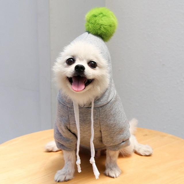 Fruit Pet Coat Hoodies - Puritific