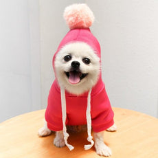 Fruit Pet Coat Hoodies - Puritific