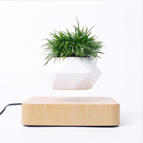 Levitating Air Bonsai Pot - Puritific