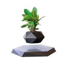 Levitating Air Bonsai Pot - Puritific