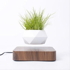 Levitating Air Bonsai Pot - Puritific