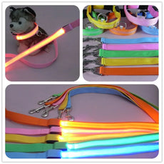 Glow In Dark Dog Leash - Puritific