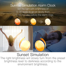 Wake-up Light Clock - Puritific