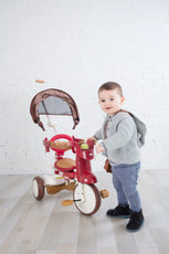 iimo 3-in-1 Foldable Tricycle with Canopy - Puritific