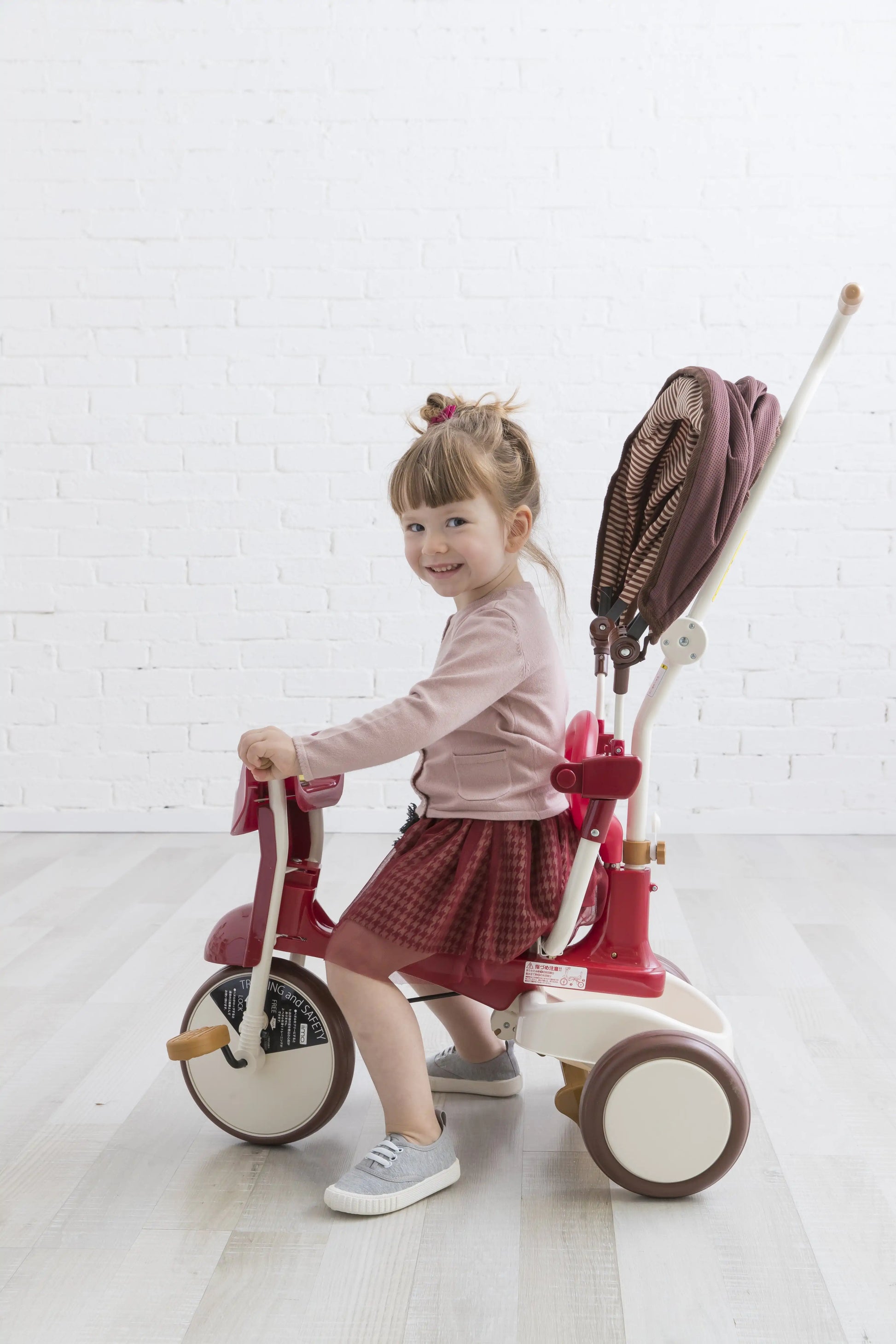 iimo 3-in-1 Foldable Tricycle with Canopy - Puritific