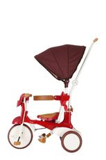 iimo 3-in-1 Foldable Tricycle with Canopy - Puritific