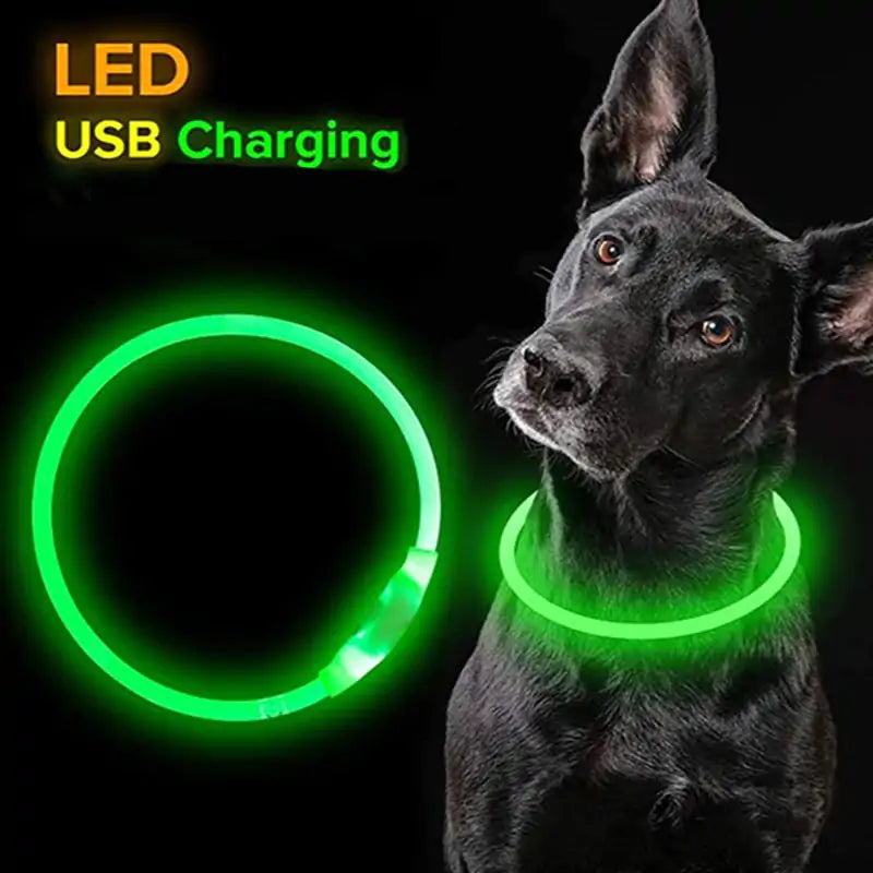 LED Waterproof Dog Collars - Puritific