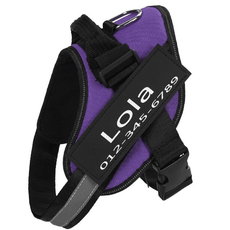 Personalized No-Pul Harness - Puritific