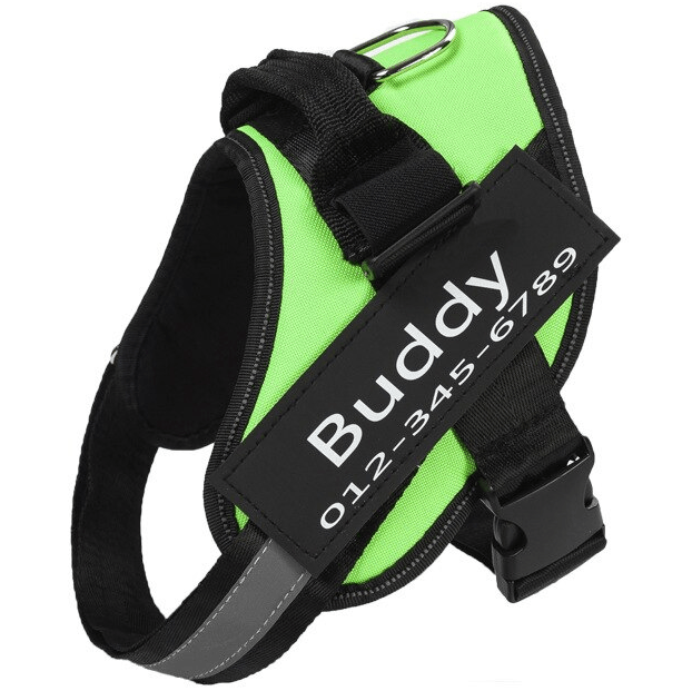 Personalized No-Pul Harness - Puritific