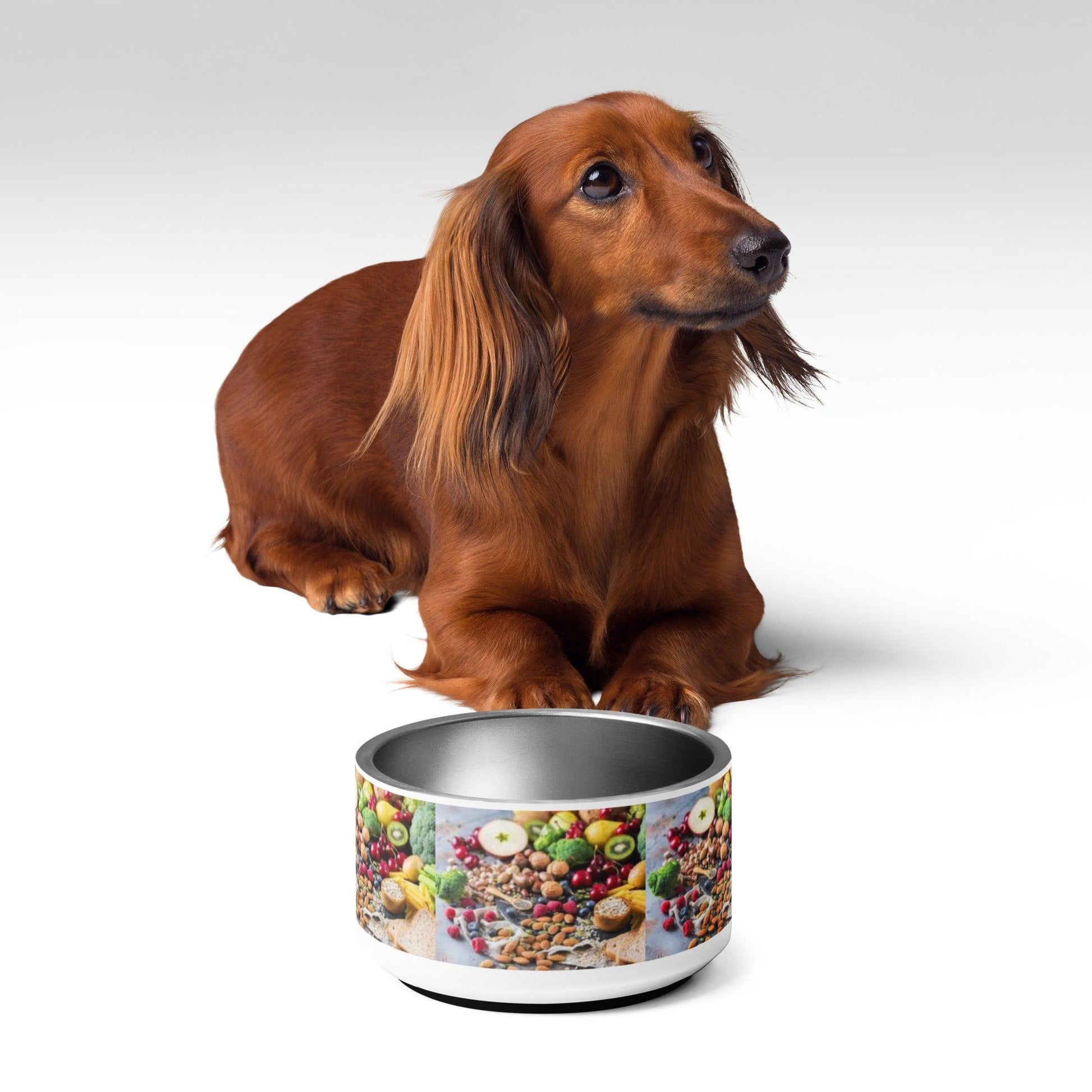 Pet bowl - Puritific