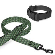 Pet collar & leash - Puritific