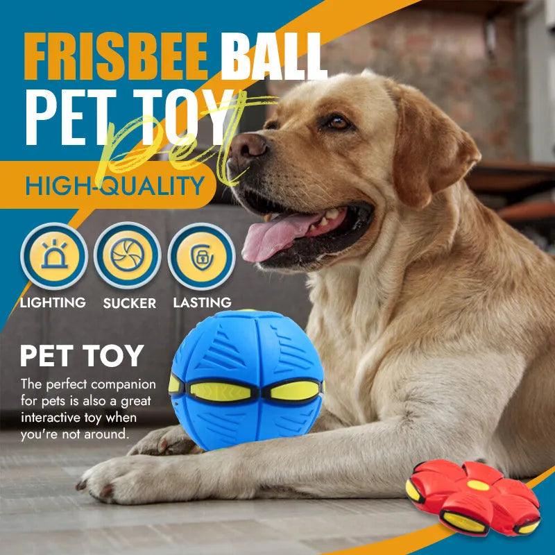 Pet Flying Saucer Ball - Puritific