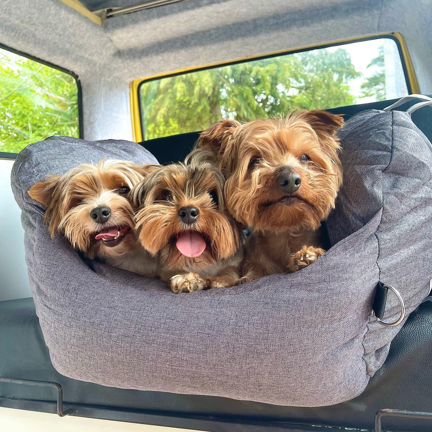 Pet Travel Bed - Puritific