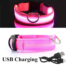 LED Dog Collar - Puritific