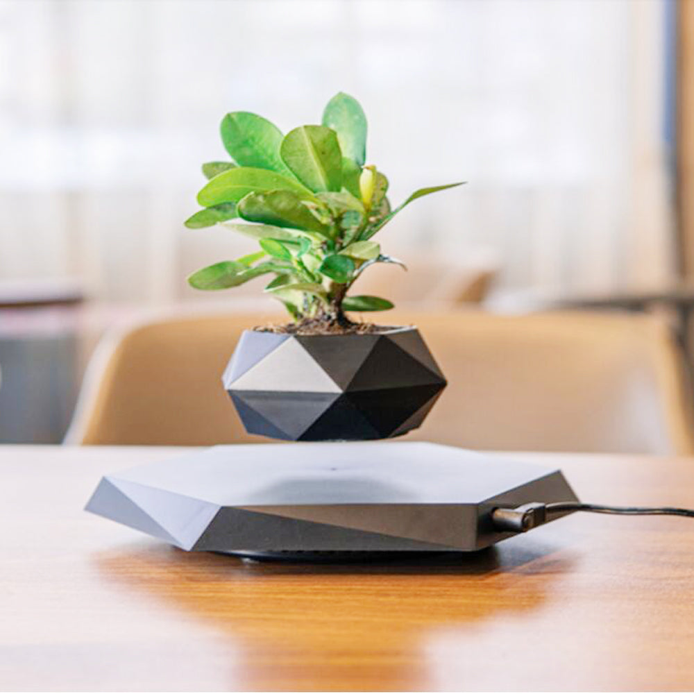 Floating Magnetic Levitating Flower Pot - Puritific