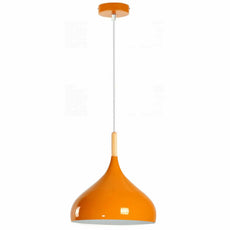 Ceiling Pendant Light Metal Colour Shade Hanging Lamps~5305-10