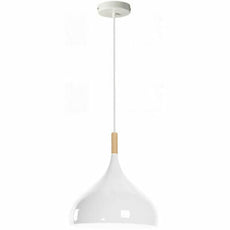 Ceiling Pendant Light Metal Colour Shade Hanging Lamps~5305-5