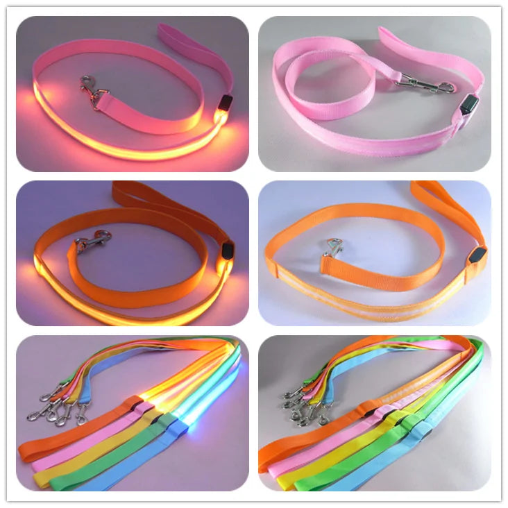 Glow In Dark Dog Leash - Puritific