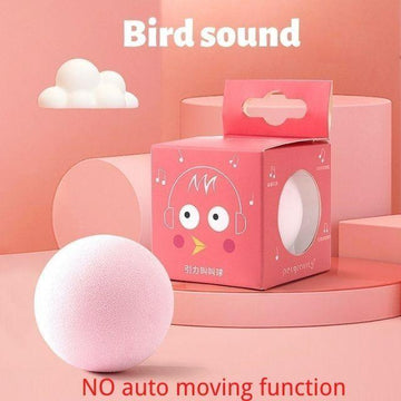 Bird Sound