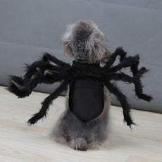 Spider Costume for Pets - Puritific