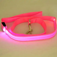 Glow In Dark Dog Leash - Puritific