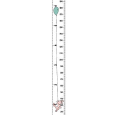 Nordic Style Kids Height Ruler - Puritific